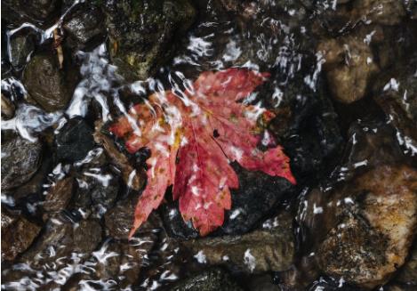 水質(zhì)在線監(jiān)測(cè)常見(jiàn)的水污染指標(biāo)有哪些? 水質(zhì)在線監(jiān)測(cè)常見(jiàn)的水污染指標(biāo)有哪些?